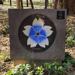 Cherry Blossom Ceramic, Yasukuni Shrine in Tokyo