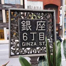 Ginza Street, a prominent upscale shopping, dining, and entertainment district in Tokyo,