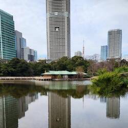 Hamarikyu Gardens