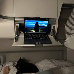 olha o Boni tão sossegadinho 🐈‍⬛