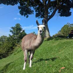 Beim Start der Wanderung schon Weggefährten gesichtet.