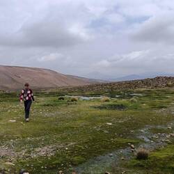 On the high plains between Arequipa and Chivay in the Colca Valley