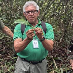 ANTS LIVE IN THIS PLANT