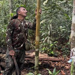 Make me a hat from the palm