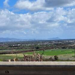 Diamond Head in the distance.