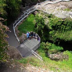 Cave Garden
