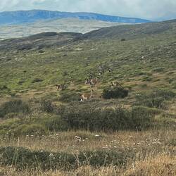 Und die haben wir auf dem Rückweg auch noch am Straßenrand entdeckt