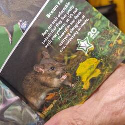 We ticked them off in the i spy book Pete and Maggie gave us for xmas