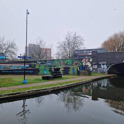 Lovely murals