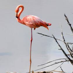 Noch ein kleiner Spaziergang am Strand