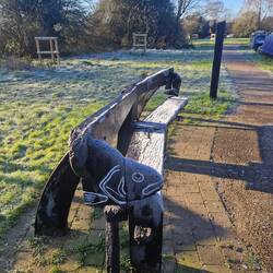 Cute fish bench on a frosty morning