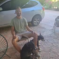 Hendrik, der Hundeflüsterer