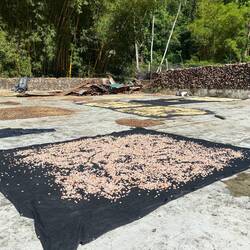 Auslage von Kaffee (und ein bisschen Kakao)