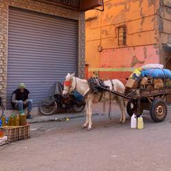 Das Transportmittel in Marokko
