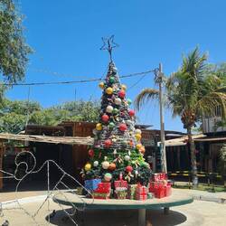 Feliz Navidad