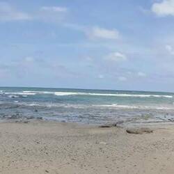 Playa Carrillo