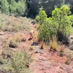 So schön kann wandern sein 🥾