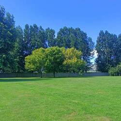 Notre camping à Parnassus