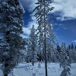 Hier ist der Weg das Ziel