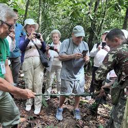 Rope out of palm leaves
