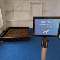 Happy, happy. Washy washy.