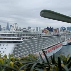 Miami port was maxed out with 8 cruise ships in the Terminals