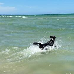 Lieben Gruß an die Nichtschwimmerin😂