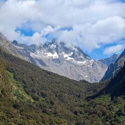 Hollyford Valley Lookout