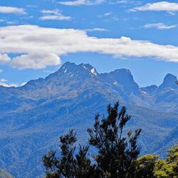 Hollyford Valley Lookout