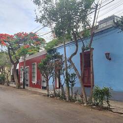 One of the many extremely attractrive streets in Lima