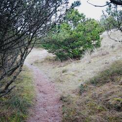 Weg zum Cache