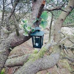 Der erste Cache der Woche