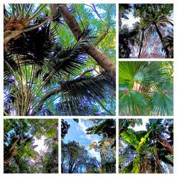 Bladerdak, Park Malaga
