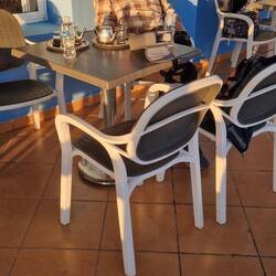 Sundowner mit Minztee