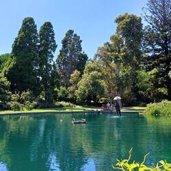 Lake in gardens