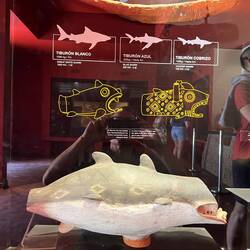 Der Hai als wichtigste Gottheit des Lima-Kultes