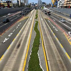 Begrünte Mittelinsel bei der Autobahn