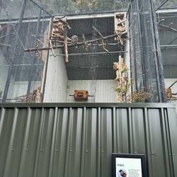 Hier gibt es nur Kaka Vögel 🤷🏼‍♀️