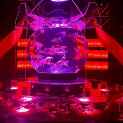 Fischmuseum (finde ich fisschen fies)