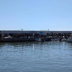 nach dem das Kreuz wieder heraus gefischt wurde