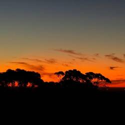 Sunset at its best!