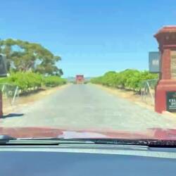 Einfahrt zum Chateau Tanunda