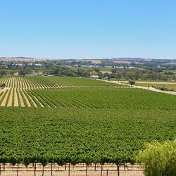Barossa Valley