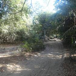 Danach auf sandiger Piste weiter durch üppige Vegetation