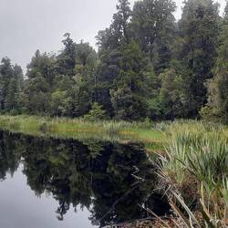 To foggy to get the perfect reflection on the lake
