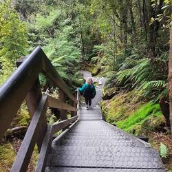 Many steps