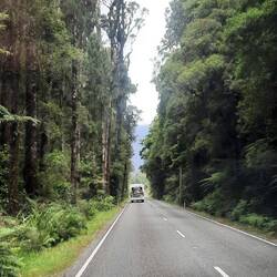 The drive towards Haast