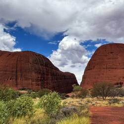 Kata Tjuta höchst persönlich