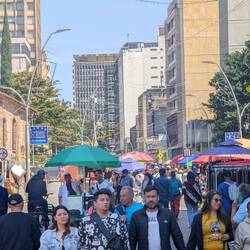 Flew market am Sonntag