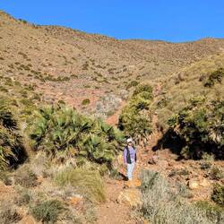 Landschaften ohne Nebengeräusche
